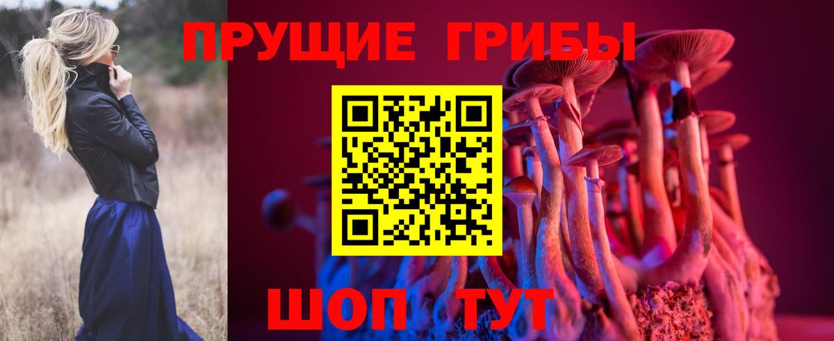 Галлюциногенные грибы мухоморы Красногорск